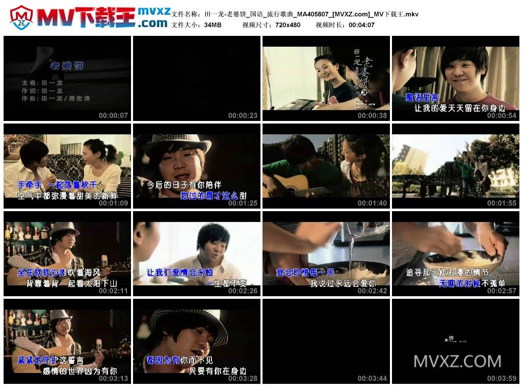 田一龙-老婆饼_国语_流行歌曲_MA405807
